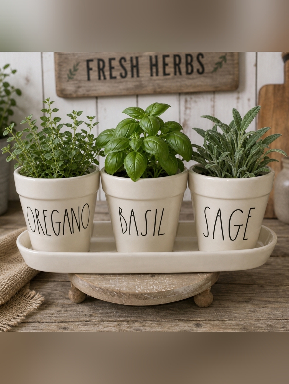 🩷Rae Dunn OREGANO, BASIL, SAGE Planter Pot Set with Tray🩷